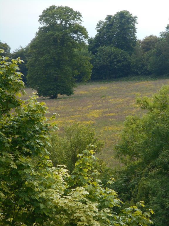 Diamond Hill Country House ウォーターフォード エクステリア 写真