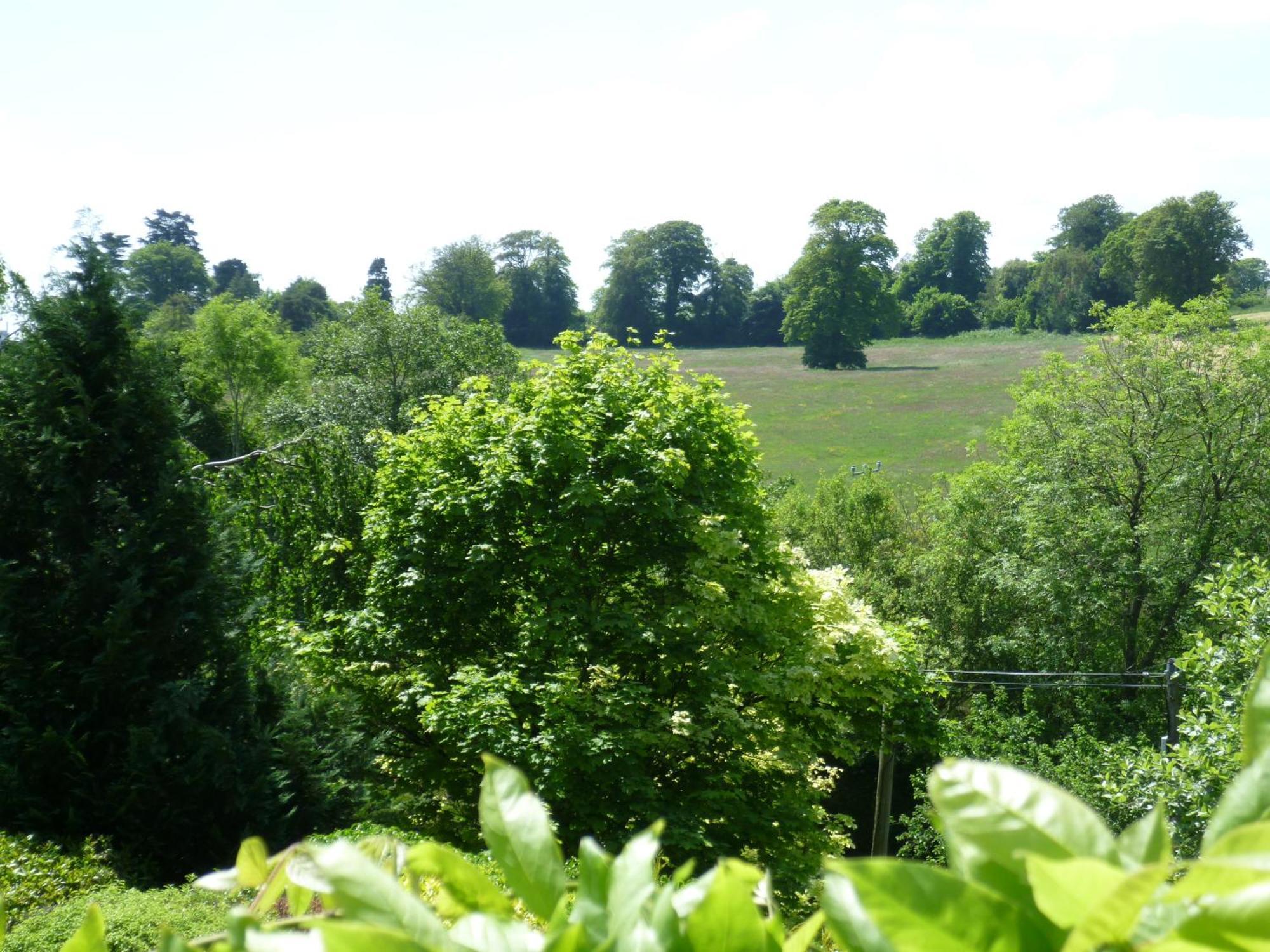 Diamond Hill Country House ウォーターフォード エクステリア 写真