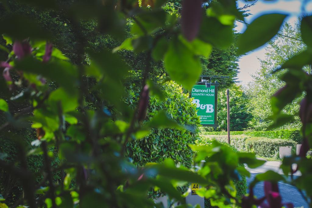 Diamond Hill Country House ウォーターフォード エクステリア 写真