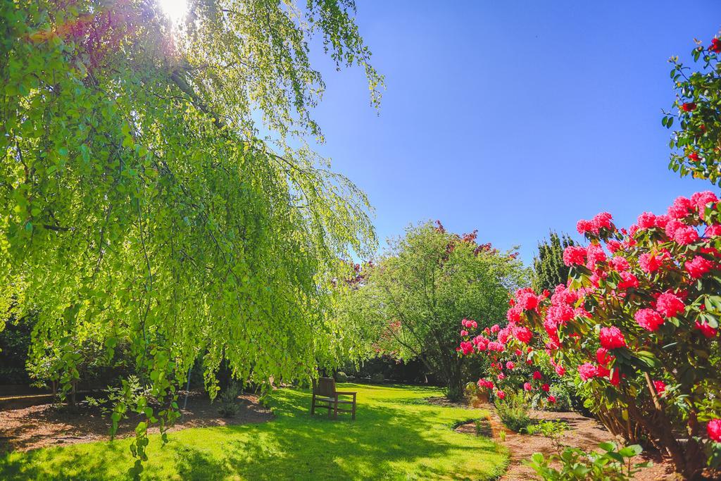 Diamond Hill Country House ウォーターフォード エクステリア 写真