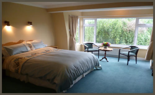 Diamond Hill Country House ウォーターフォード エクステリア 写真